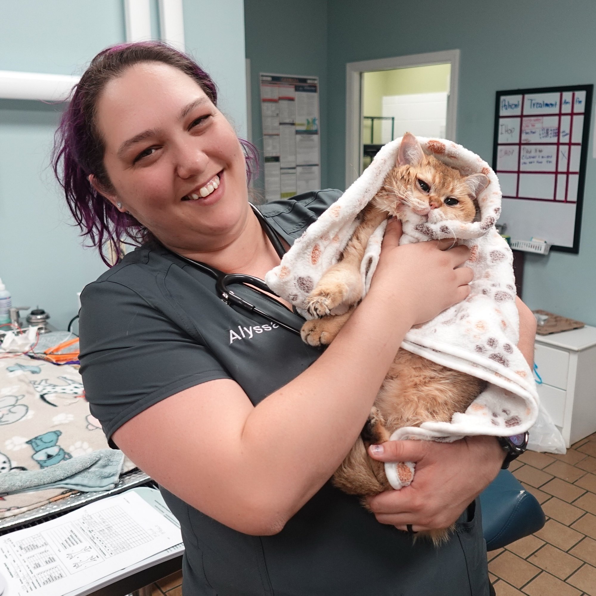 Alyssa with cat