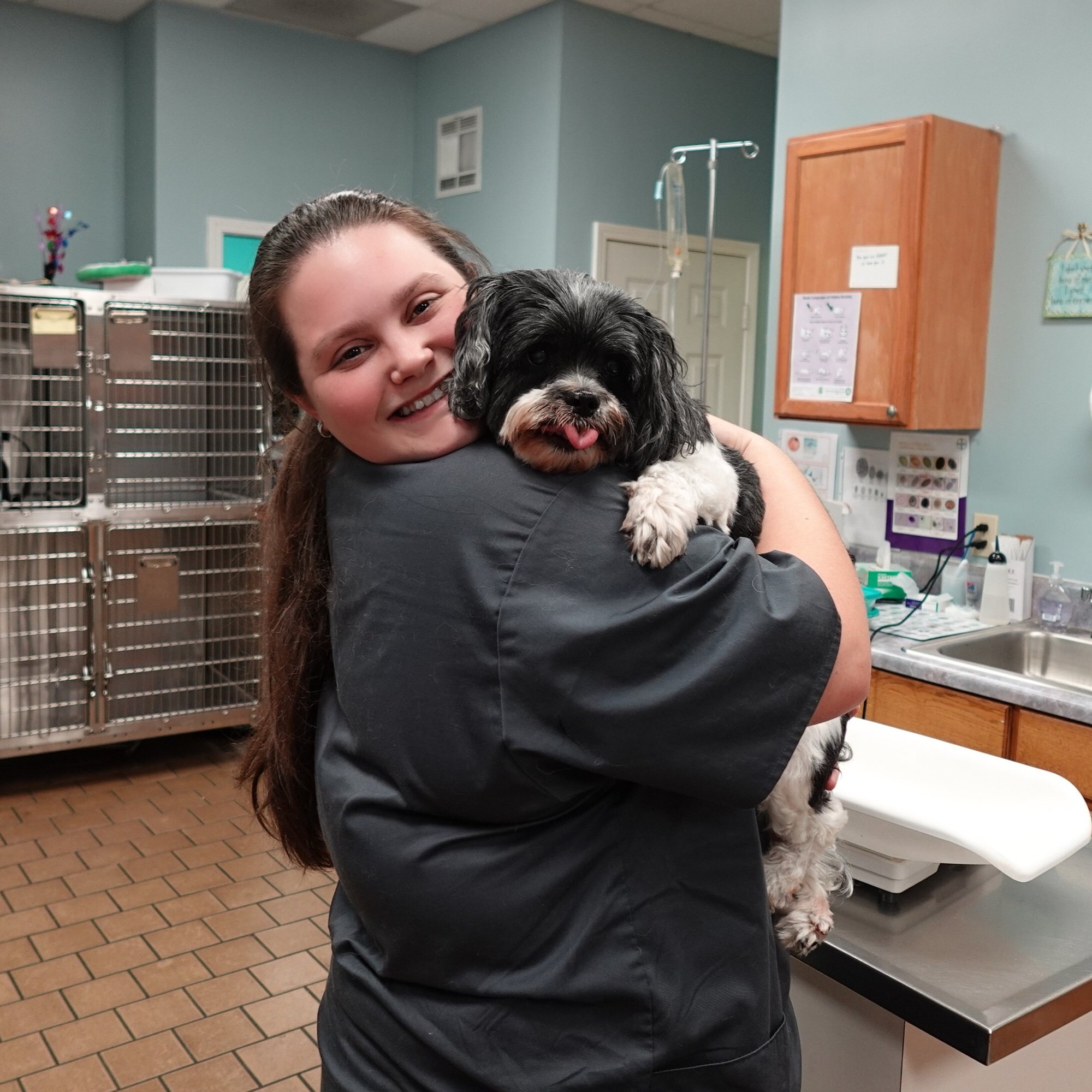 Staff and pets