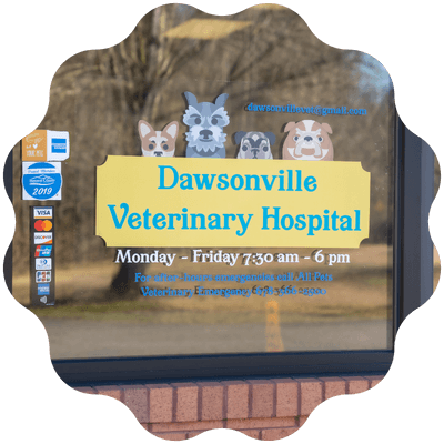 dawsonville veterinary hospital sign