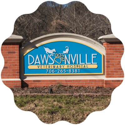 dawsonville veterinary hospital signage